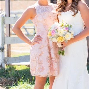 Anthropologie light pink dress by Eva Franco